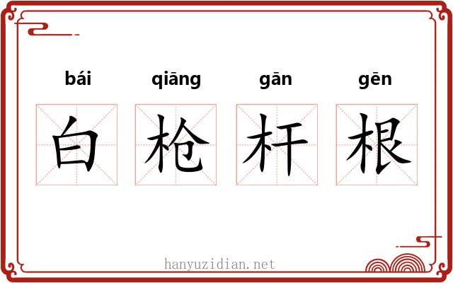 白枪杆根 白枪杆根