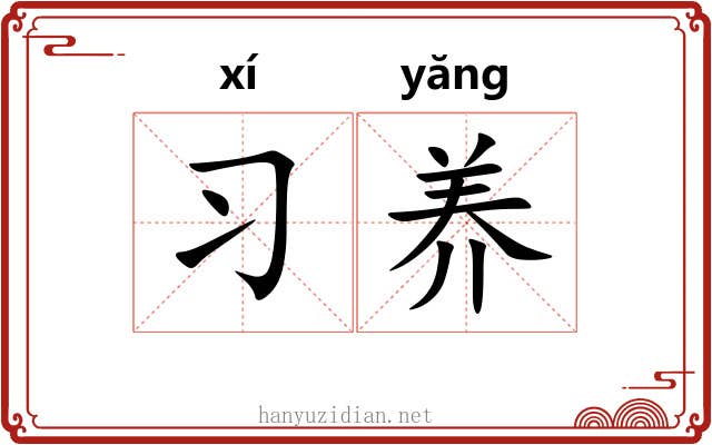 习养 习养