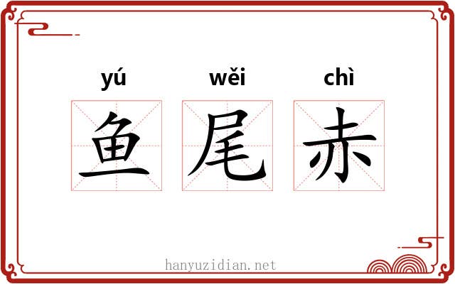 鱼尾赤 鱼尾赤