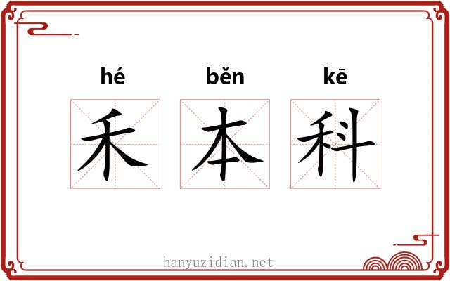 禾本科 禾本科