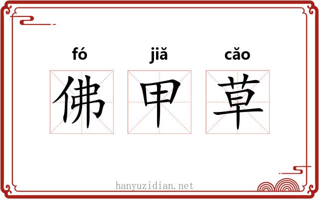 佛甲草 佛甲草
