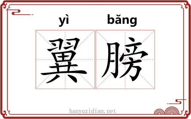 翼膀