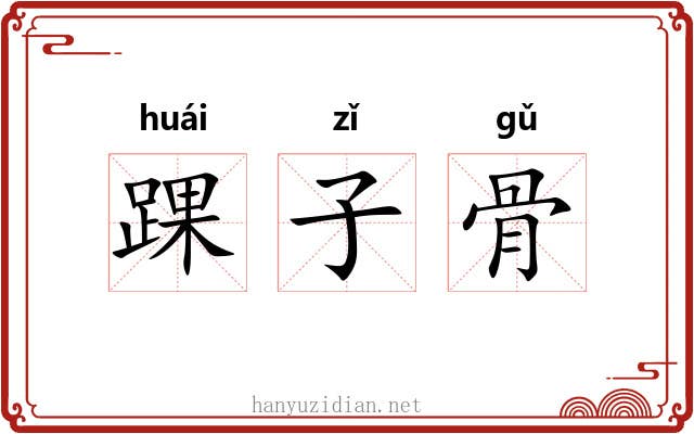 踝子骨 踝子骨