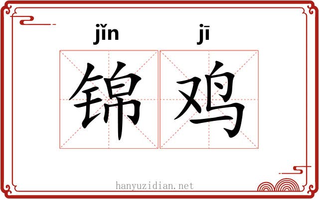 锦鸡