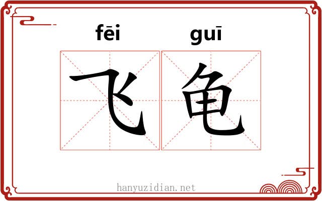 飞龟 飞龟