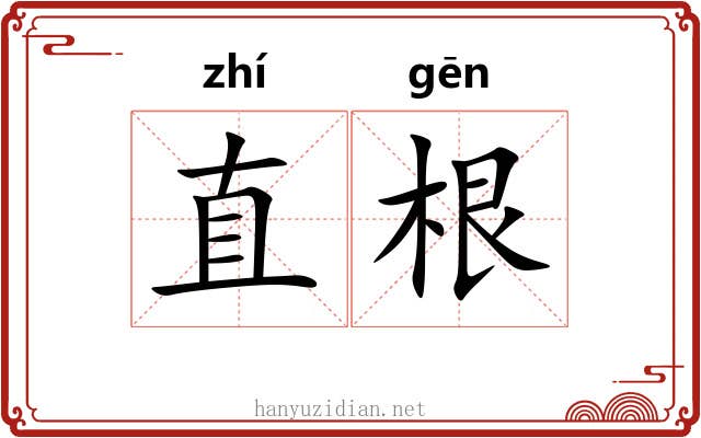 直根