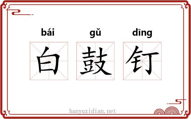白鼓钉 白鼓钉