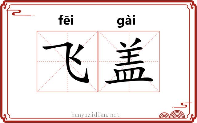 飞盖 飞盖