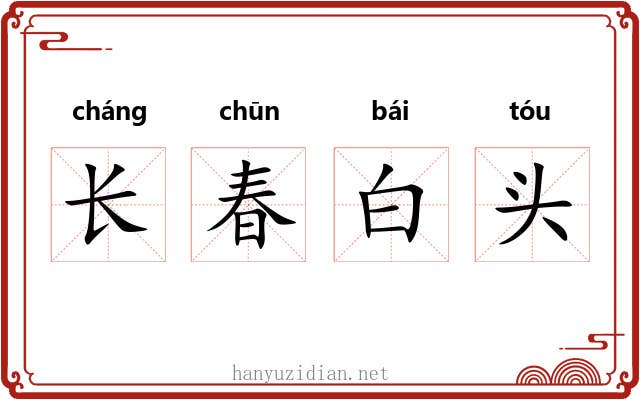 长春白头