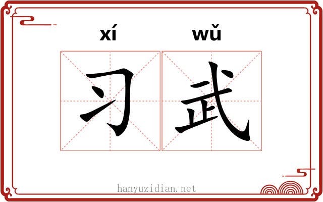 习武