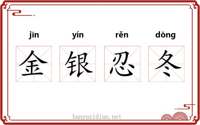 金银忍冬 金银忍冬
