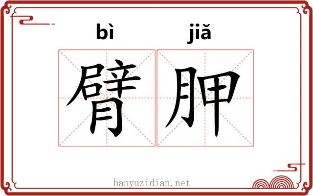 臂胛