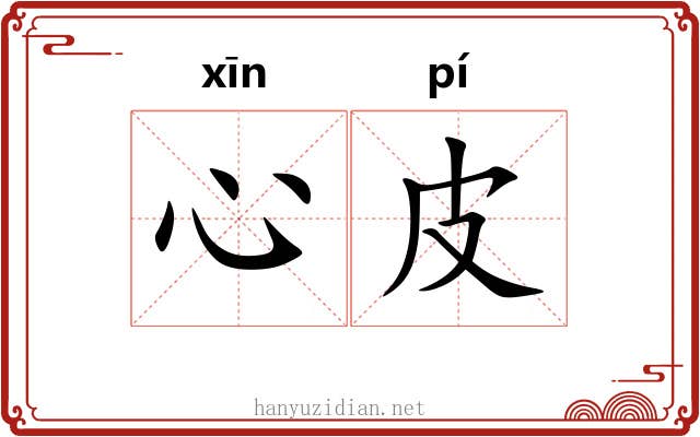 心皮