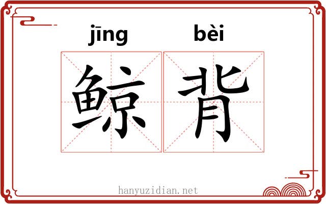 鲸背