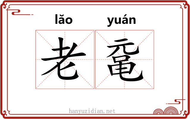 老鼋 老鼋