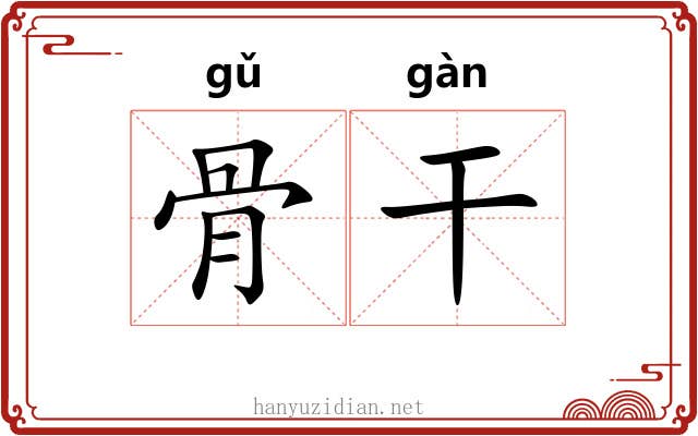 骨干 骨干