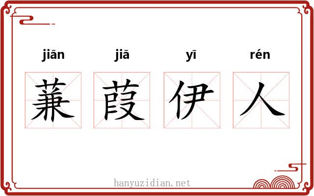 蒹葭伊人