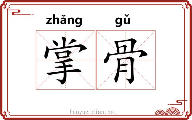 掌骨 掌骨