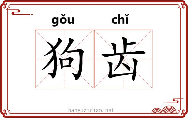 狗齿 狗齿