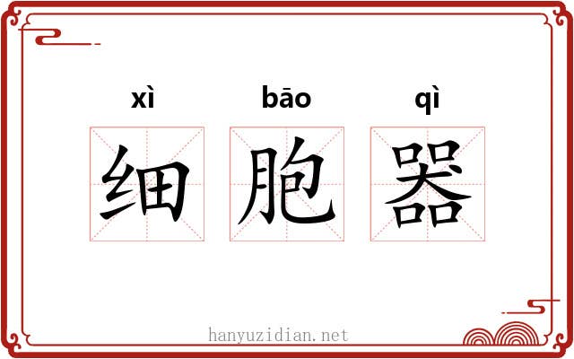 细胞器 细胞器