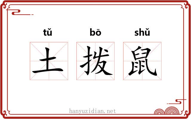 土拨鼠 土拨鼠