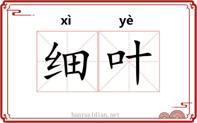 细叶