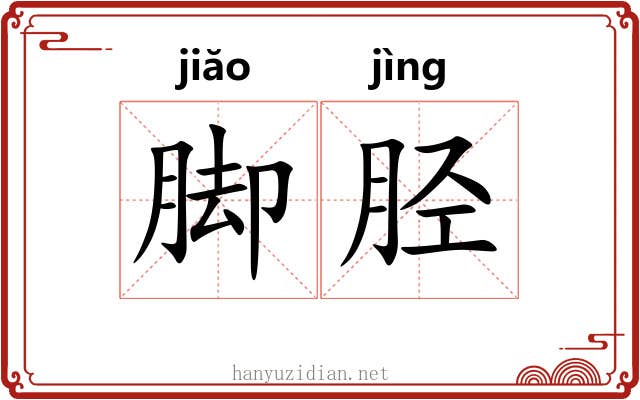 脚胫