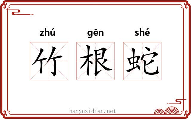 竹根蛇 竹根蛇
