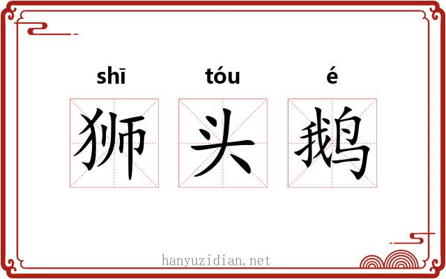 狮头鹅 狮头鹅