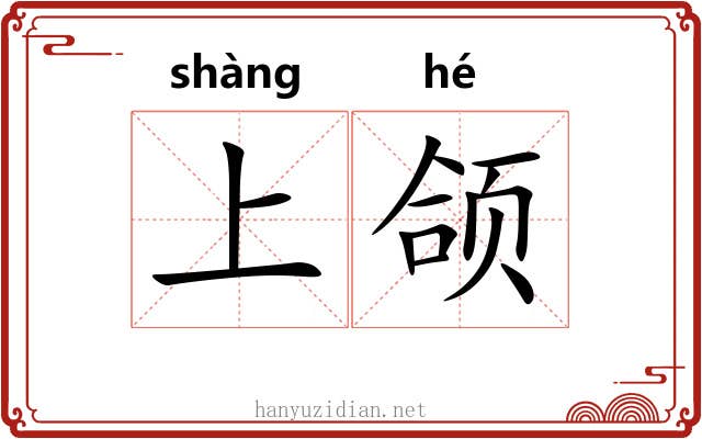 上颌 上颌