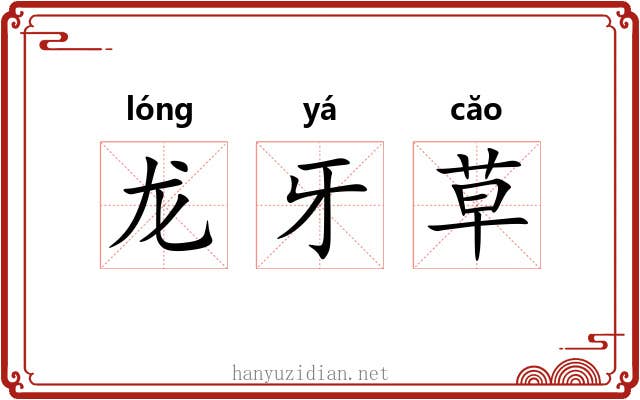 龙牙草