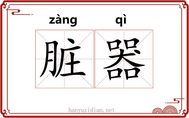 脏器