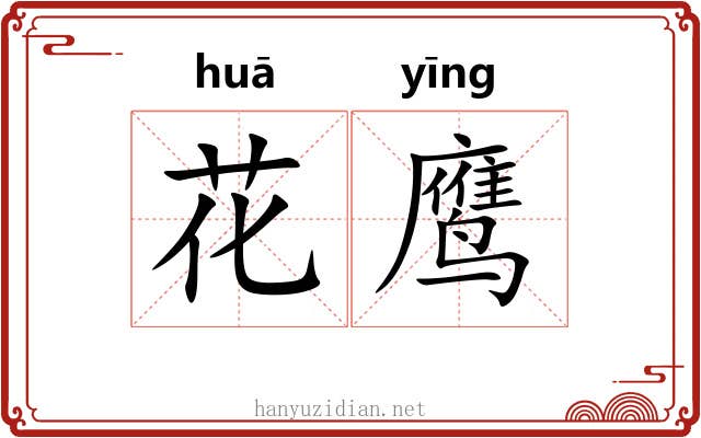 花鹰 花鹰