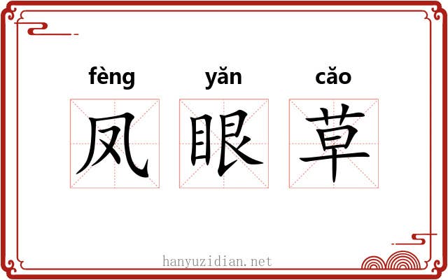 凤眼草 凤眼草