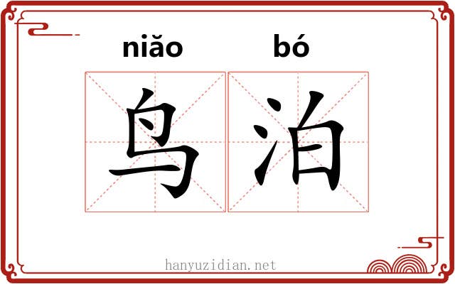 鸟泊