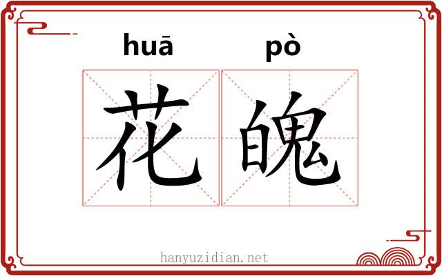 花魄 花魄