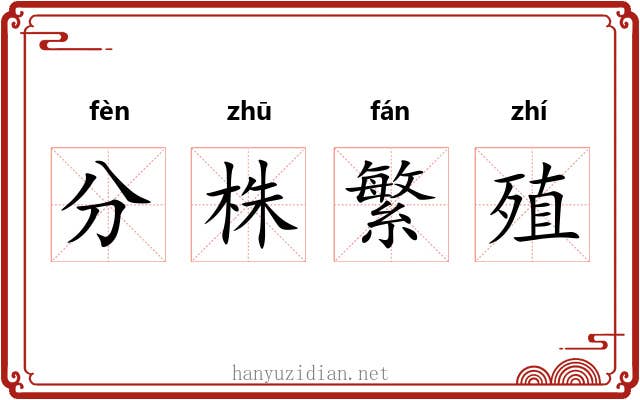 分株繁殖
