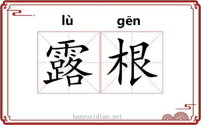 露根