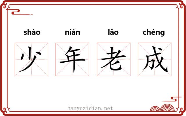 少年老成 少年老成