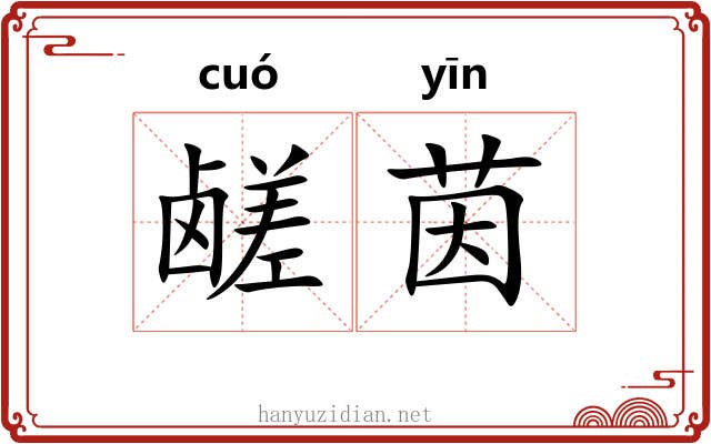 鹾茵