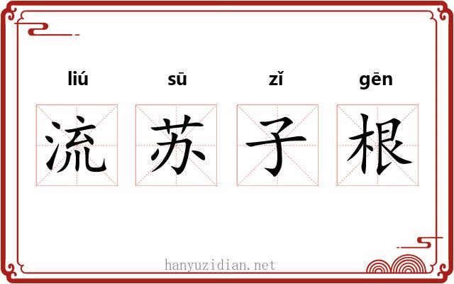 流苏子根 流苏子根