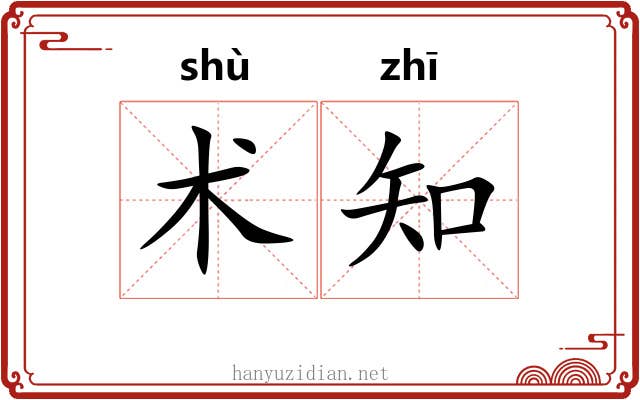 术知 术知