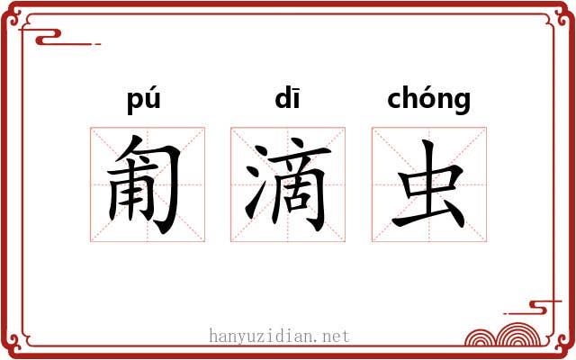匍滴虫 匍滴虫