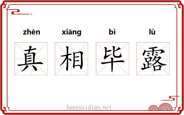 真相毕露 真相毕露