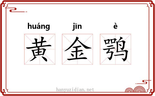 黄金鹗 黄金鹗