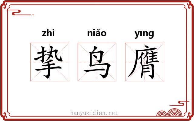 挚鸟膺