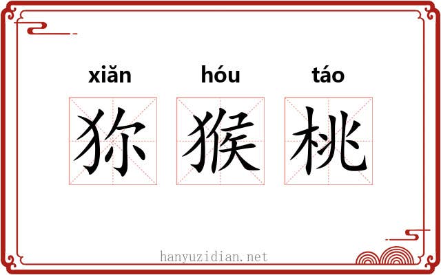 狝猴桃