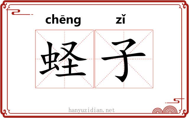蛏子 蛏子