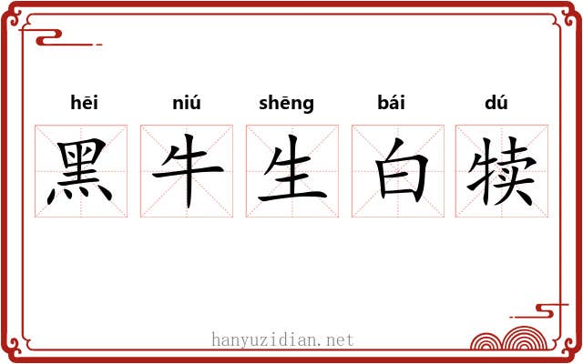 黑牛生白犊 黑牛生白犊