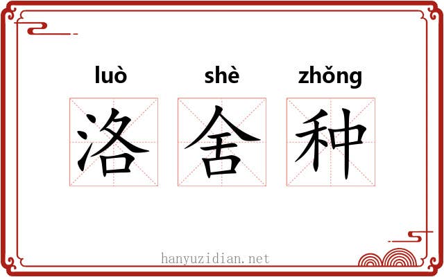 洛舍种 洛舍种